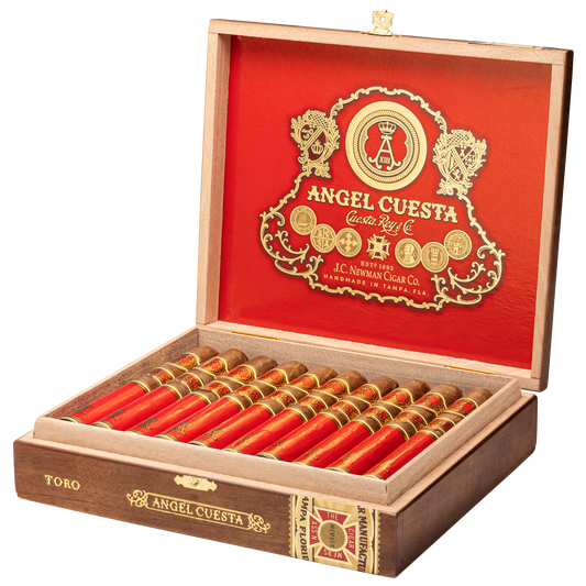 Angel Cuesta ROS Toro